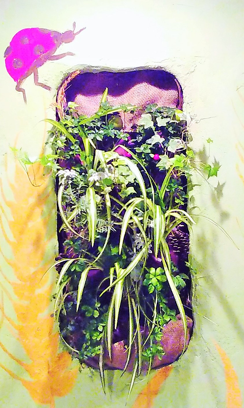 �T���v���C���[�W